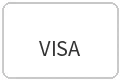 VISA支付